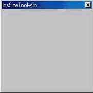  TForm    